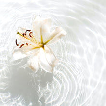 Load image into Gallery viewer, Soothing Waters | Aura Cleansing Baths