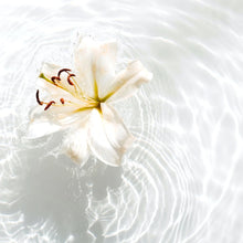 Load image into Gallery viewer, Consultation Soothing Waters | Custom Spiritual  Baths